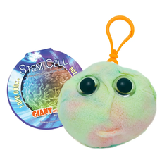 Stem Cell key chain