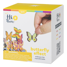 Butterfly Effect