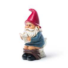 Gnome on a Throne