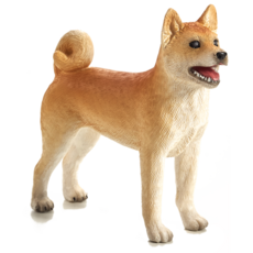 Shiba Inu