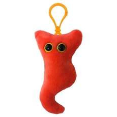 Appendix key chain