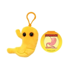 Stomach key chain