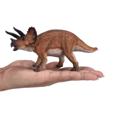 Triceratops