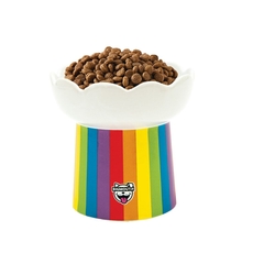 Rainbow Elevated Cat Bowl