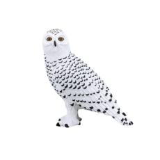 Snowy Owl