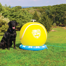 Tennis Ball Sprinkler for Dogs