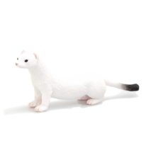 Ermine