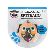Droolin' Dexter Pug Water Blaster