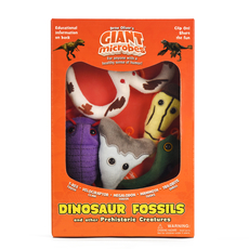 Dinosaur Fossils Gift Box