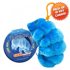 Waterbear Key Chain