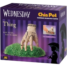 Chia Pet Thing - Wednesday