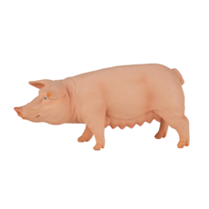 Pig (Sow)
