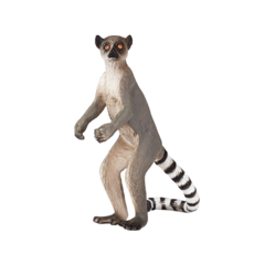 Ringtail Lemur with Baby