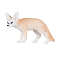 Fennec Fox