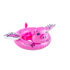 Lil Flying Pig Lil Float