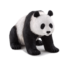 Giant Panda