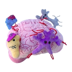 Deluxe Brain with minis