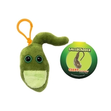 Gallbladder key chain