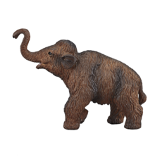 Woolly Mammoth Calf