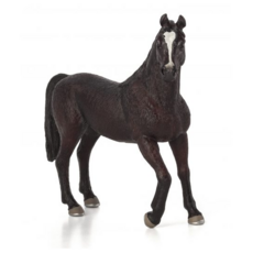 Arabian Stallion Black