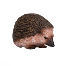 Hedgehog