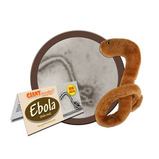 Ebola