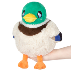 Mini Squishable Mallard Duck Pre-Order