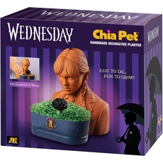 Chia Pet Wednesday