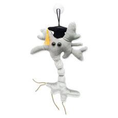 Grad Brain Cell - Regular Plush