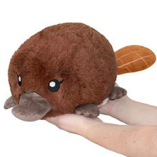 Mini Squishable Baby Platypus (PRE-ORDER)