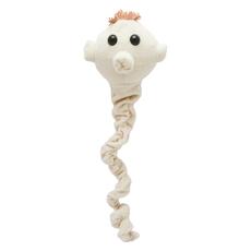 Tapeworm