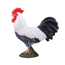 Cockerel