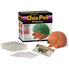 Chia Hedgehog