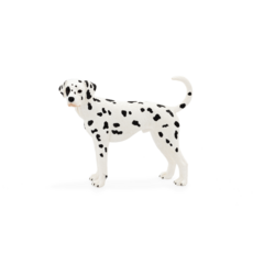 Dalmatian