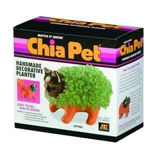 Chia Kitten