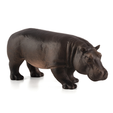 Hippopotamus (Female)