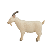 Billy Goat