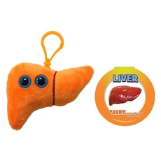 Liver key chain