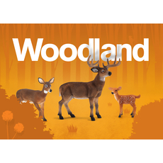 Mojo Woodland Assortment