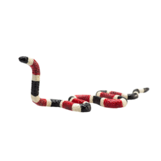 Coral Snake